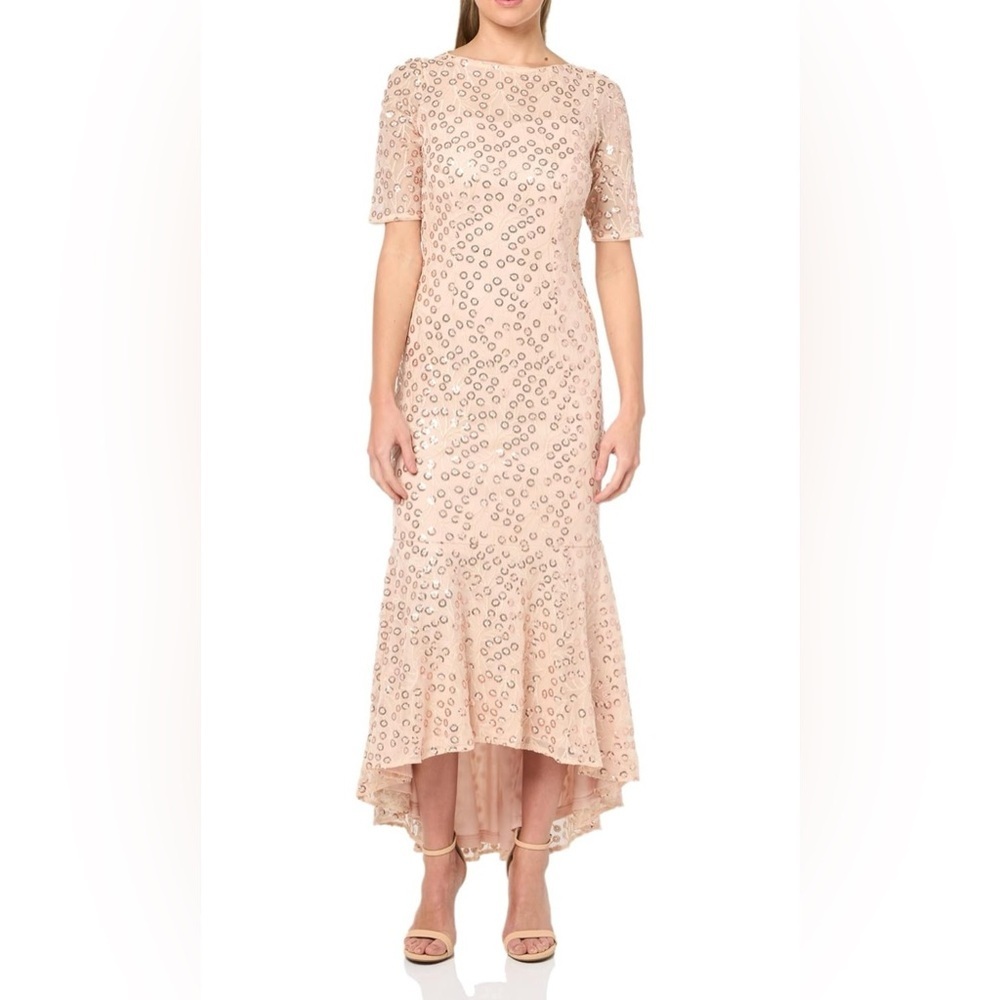 JS Collections Women's Elliot Bateau Neck Gown
Size 14